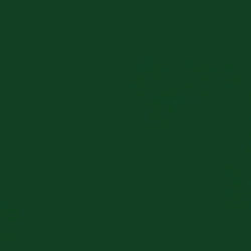Rust-Oleum Professional Hunter Green Spray Paint - 15 oz, Gloss Finish, Rust Protective Coating