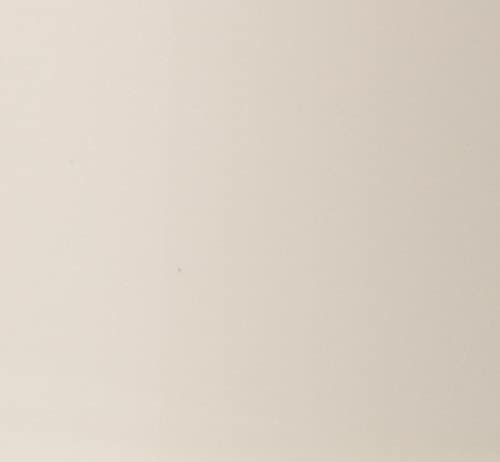 Rust-Oleum Painter's Touch 2X Ultra Cover Spray Paint, High Gloss White Sand