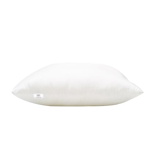30x30cm Throw Pillow Inserts - Soft Hollowfibre Cushion Pads (Pack of 2)