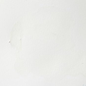 Winsor & Newton Professional Watercolor 14ml Tube - Titanium White