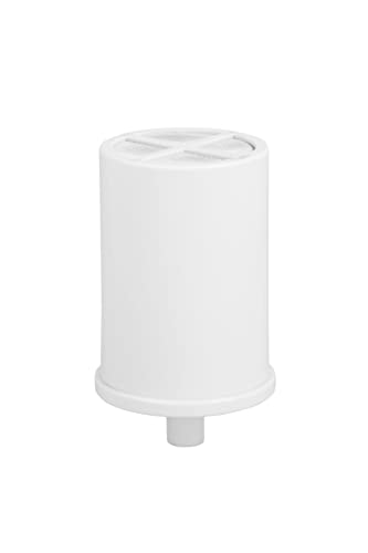 GE Shower Replacement Filter for GXSM01TBL - Chlorine Removal