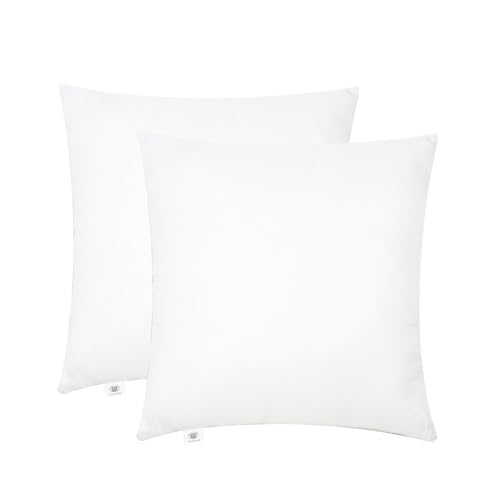 30x30cm Throw Pillow Inserts - Soft Hollowfibre Cushion Pads (Pack of 2)