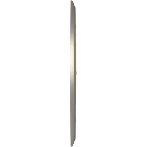 Ekena Millwork 19-Inch Baltimore PVC Ceiling Medallion - Bright Coat Aluminum