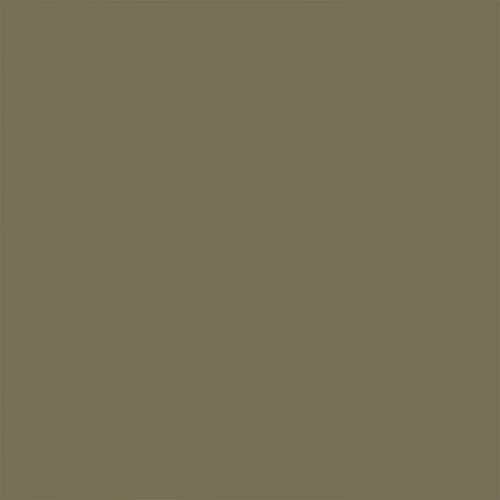 Rust-Oleum Painter's Touch 2X Spray Paint, Satin Oregano, 12 oz (2-Pack)