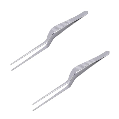 Tnyvm Stainless Steel Lighted Ear Tweezers Set - 2 Pcs