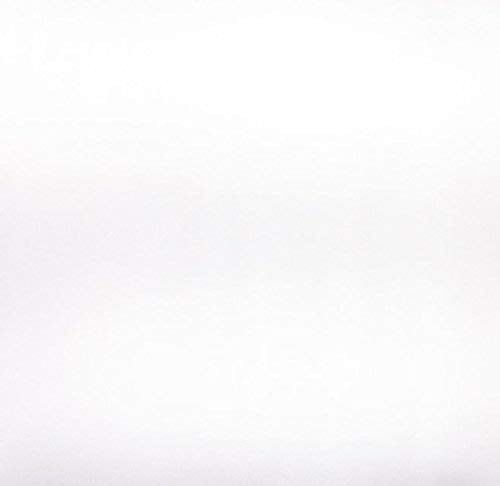 Spasilk Queen Satin Pillowcase 20x30 White Hypoallergenic Charmeuse Bed Linen