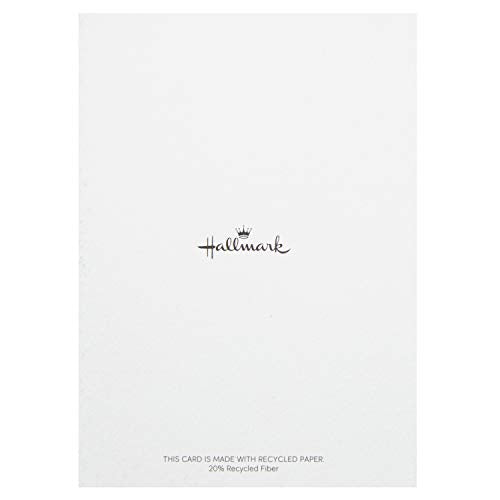 Hallmark Boxed Christmas Cards Assortment, Peace Hope Joy (48 Cards with Envelopes) (1XPX5176)
