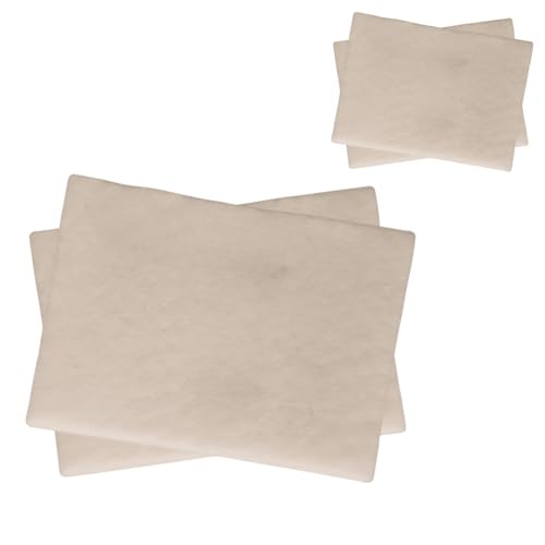 Panasonic Vacuum Filter Replacement - 2 Pack for MC-V191H & More