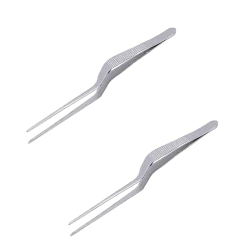 2-Piece Stainless Steel Illuminated Ear Tweezers and Earwax Removal Tool