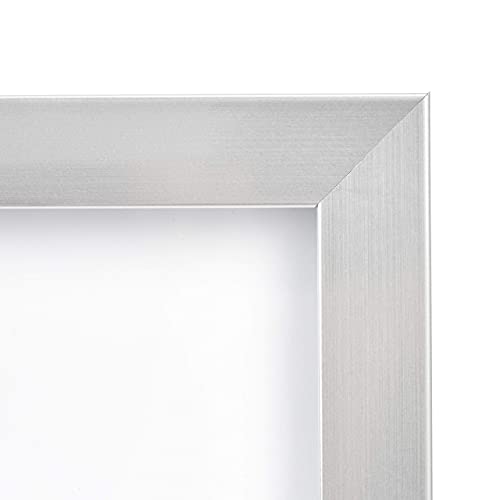 Amazon Basics 8" x 10" Nickel Picture Frame Set - 2-Pack