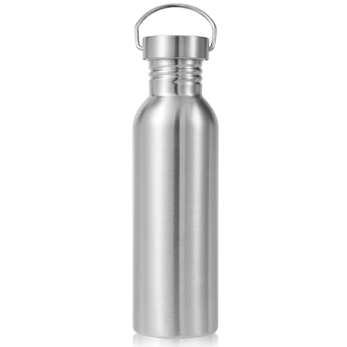 Volhoply 26oz Stainless Steel Water Bottle - BPA Free, Reusable