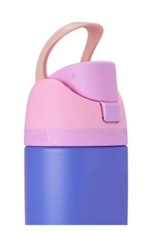 Kids' Owala 16 oz FreeSip Stainless Steel Water Bottle - Wild Child