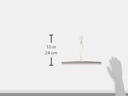 iDesign 12-Inch Bathroom Squeegee with Suction Hook - Clear/Stainless Steel