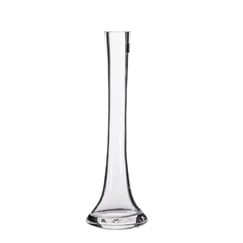 Transparent Clear Glass Bud Vase - 9.8 Inch Tall Round Bottom