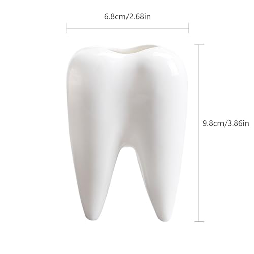 Ceramic Tooth-Shaped Toothbrush Holder and Succulent Planter