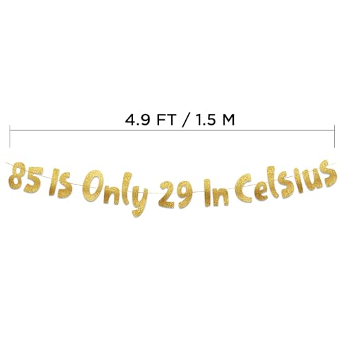 85th Birthday Gold Glitter Banner - Pre-Strung 85th Milestone Party Decor