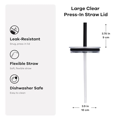 Hydro Flask 32 oz Large Press-in Tumbler with Clear Straw Lid