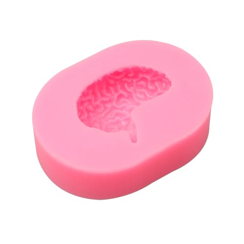 Brain Silicone Molds - 2 Pcs Human Organs Dessert Molds