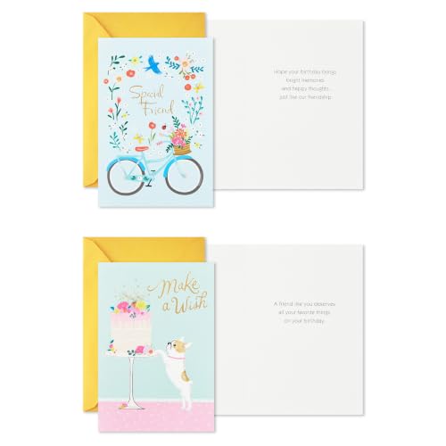 Hallmark Assorted Birthday Cards for Her - French Bulldog, Cactus, Bicycle, Ice Cream - 16 Pack