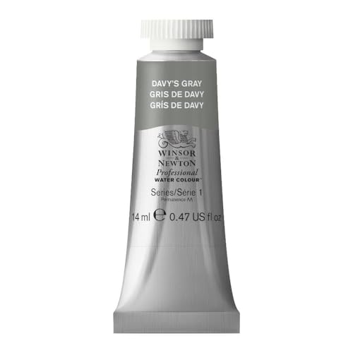 Winsor & Newton Professional Watercolor Paint, 14ml Tube - Davy's Gray
