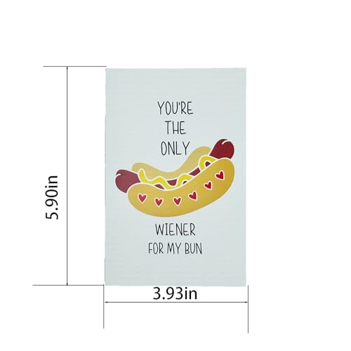 Funny Birthday Card for Boyfriend - Hilarious Anniversary Gift