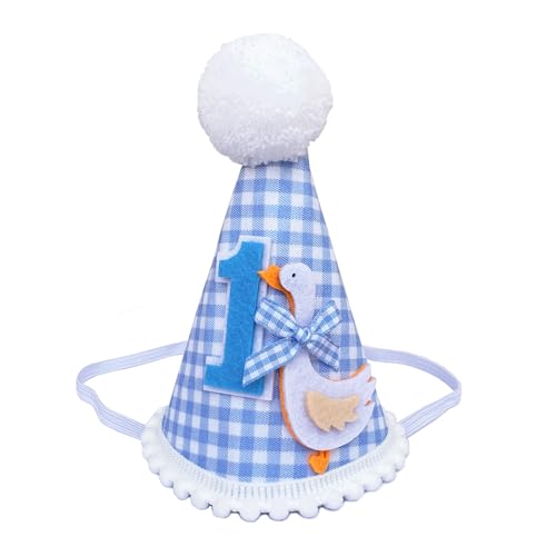 Goose-Themed 1st Birthday Party Hat for Boys & Girls