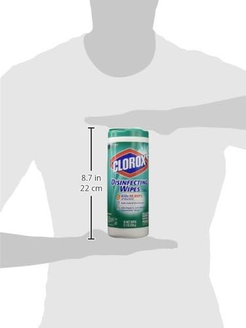 Clorox Wet Wipes - Lemon Fresh Scent for Effective Cleaning - 3 Count Pack