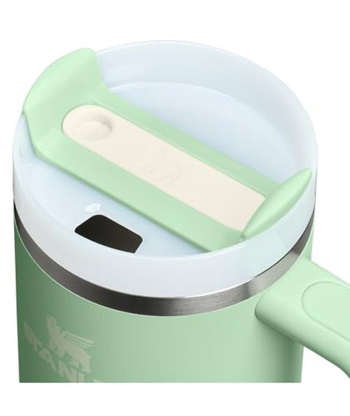 STANLEY Quencher H2.0 Tumbler with Handle and Straw 30 Fluid Ounces | Flowstate 3-Position Lid | Cup Holder Compatible for Travel | Insulated Stainless Steel Cup | BPA-Free | Pistachio