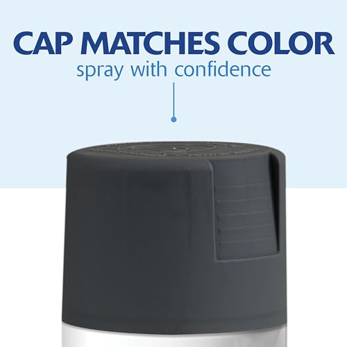 Rust-Oleum Painter's Touch 2X Spray Paint, Satin Charcoal Gray, 12 oz (Pack of 4)