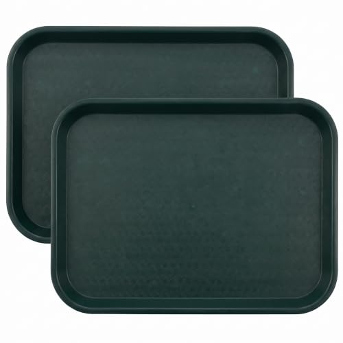 Green Cafe Plastic Food Trays 17.9 x 14 Inches Pack of 2 - Durable & Safe