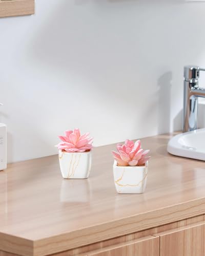 Taybonds Artificial Succulent in Elegant White Ceramic Pot - 2PCS