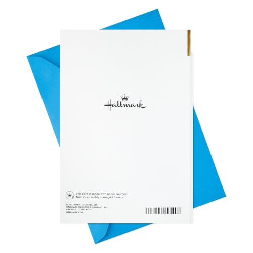 Hallmark Birthday Card for Men - Barbecue Grill Design