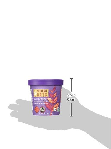 Modern Oats Goji Blueberry Oatmeal - 2.6 Oz, Gluten Free & Vegan