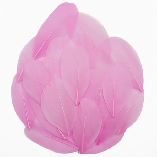 Natural Pink Goose Feathers 50 Pcs 2-3 Inch Craft Feathers for DIY Wedding Party Decor