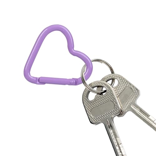 6Pack Carabiners Hook Clips Camping Accessories,Versatile Aluminum Key Holder for Outdoor Travel and Daily