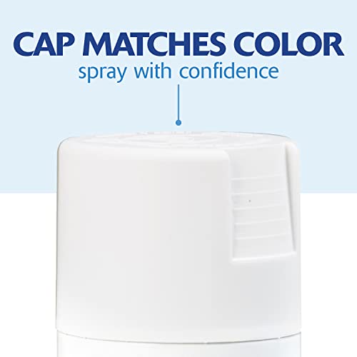 Rust-Oleum Painter's Touch 2X Flat White Spray Paint 12 oz (Pack of 4)