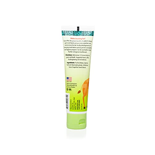 Spry Natural Kids Xylitol Tooth Gel, Original Flavor, 2 Fl Oz
