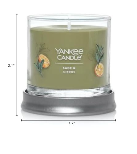 Yankee Candle Small Tumbler Scented Single Wick Jar Candle, Sage & Citrus, Over 20 Hours of Burn Time, 4.3 Ounce (Pack of 2)