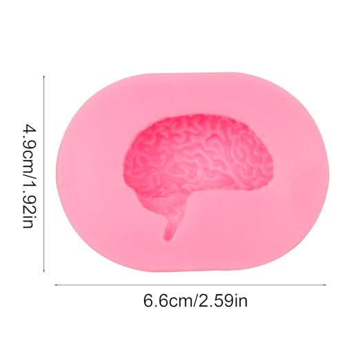 Brain Silicone Molds - 2 Pcs Human Organs Dessert Molds