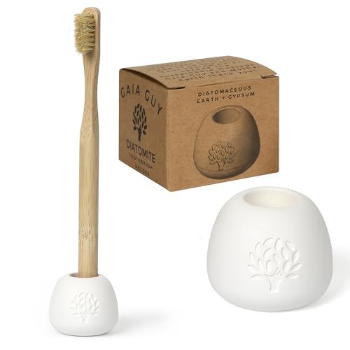 Gaia Guy Diatomaceous Earth Toothbrush Holder - Quick-Dry Stone Organizer