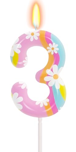 Daisy Number 3 Birthday Candle - Rainbow Party Decoration