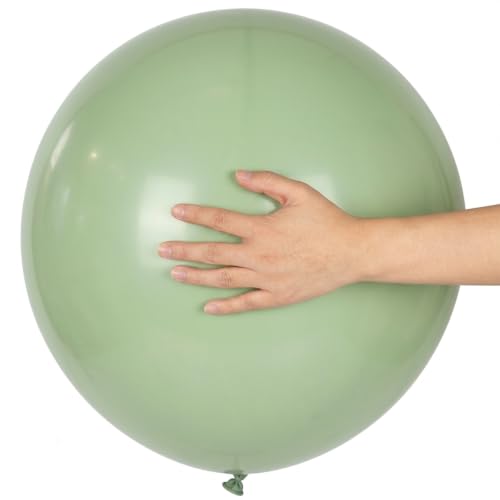 Sage Green Balloons 18 Inch - 15 Pack Large Round Latex