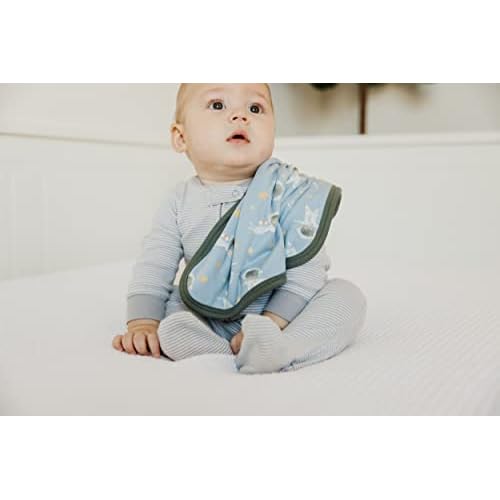 Copper Pearl Baby Security Blanket Set of 2 - Portable Size for Self-Soothing On-The-Go, Ideal Baby Blankets for Boys and Girls, Ultra-Soft, and Gift-Ready Loveys - Neil