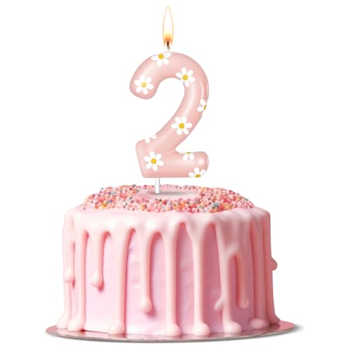Conelist Number 2 Daisy Birthday Candle - Pink Flower Cake Topper