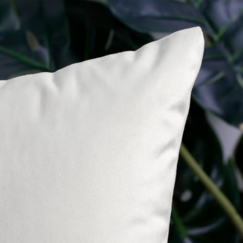 Thmyo 2 Pack White Velvet Decorative Square Pillow Covers 16x16 Inches, No Inserts