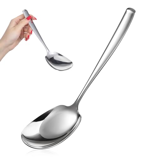 Ezymivs Stainless Steel Serving Spoon 9.5 Inch Heavy-Duty Metal Spoon