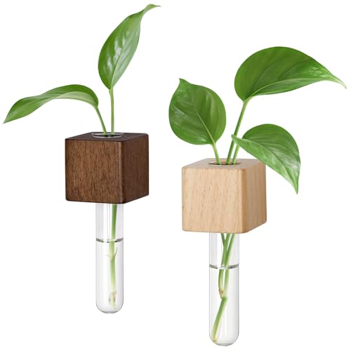 Magnetic Wooden Test Tube Vases Set of 2 for Refrigerator - Walnut