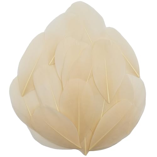 50 Natural Goose Feathers - 2-3 Inch Colorful Craft Feathers