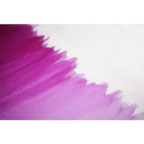 Winsor & Newton Professional Watercolor Paint, 14ml Tube - Quinacridone Violet
