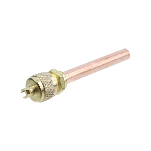 Dnyta 10 Pcs 1/4" Access Valve Set - 2.64" Length, Brass for HVAC